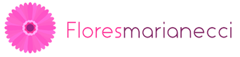 Flores Marianecci Logo